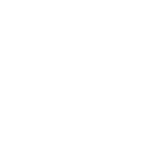 Share Icon